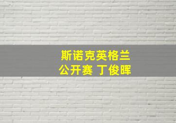 斯诺克英格兰公开赛 丁俊晖